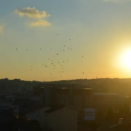Terra 3* Istanbul